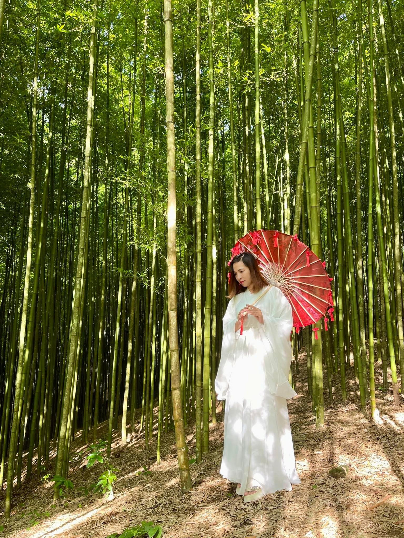 Đến với rừng trúc Mồ Dề, nhiều du khách còn hóa trang thành những chàng kiếm khách, những tiểu cô nương váy áo lượt là như trong phim cổ trang Trung Quốc.