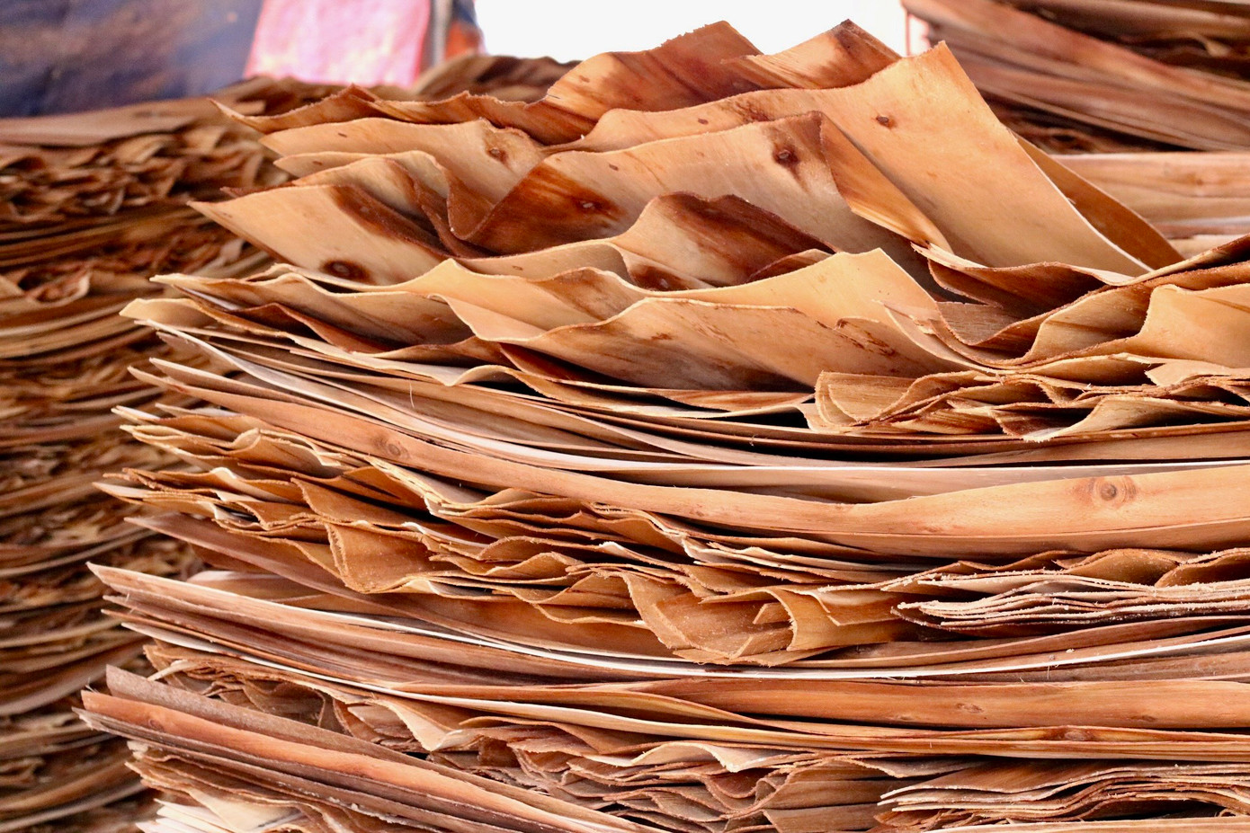 Những sản phẩm loại sau khi bóc như đầu mẩu, lõi nhỏ xưởng sẽ cho đi băm để bán gỗ dăm. Mọi phế phẩm của gỗ đều có thể tận dụng được hết nên việc xử lý rác thải của xưởng cũng không quá khó khăn. Việc bán gỗ dăm cũng đem lại cho xưởng một nguồn thu không nhỏ. Ván thường có 2 loại. Ván loại 1 giá thường rơi vào khoảng 2,6-2,7 triệu đồng/khối (một khối có khoảng 720 tờ), ván loại 2 còn được gọi là ván BC có giá dao động từ 1,5-1,7 triệu đồng/khối tùy từng thời điểm. Mỗi tháng xưởng xuất khối đi khoảng 50-70 khối. Những sản phẩm loại sau khi bóc như đầu mẩu, lõi nhỏ xưởng sẽ cho đi băm để bán gỗ dăm. Mọi phế phẩm của gỗ đều có thể tận dụng được hết nên việc xử lý rác thải của xưởng cũng không quá khó khăn. Việc bán gỗ dăm cũng đem lại cho xưởng một nguồn thu không nhỏ. Ván thường có 2 loại. Ván loại 1 giá thường rơi vào khoảng 2,6-2,7 triệu đồng/khối (một khối có khoảng 720 tờ), ván loại 2 còn được gọi là ván BC có giá dao động từ 1,5-1,7 triệu đồng/khối tùy từng thời điểm. Mỗi tháng xưởng xuất khối đi khoảng 50-70 khối.