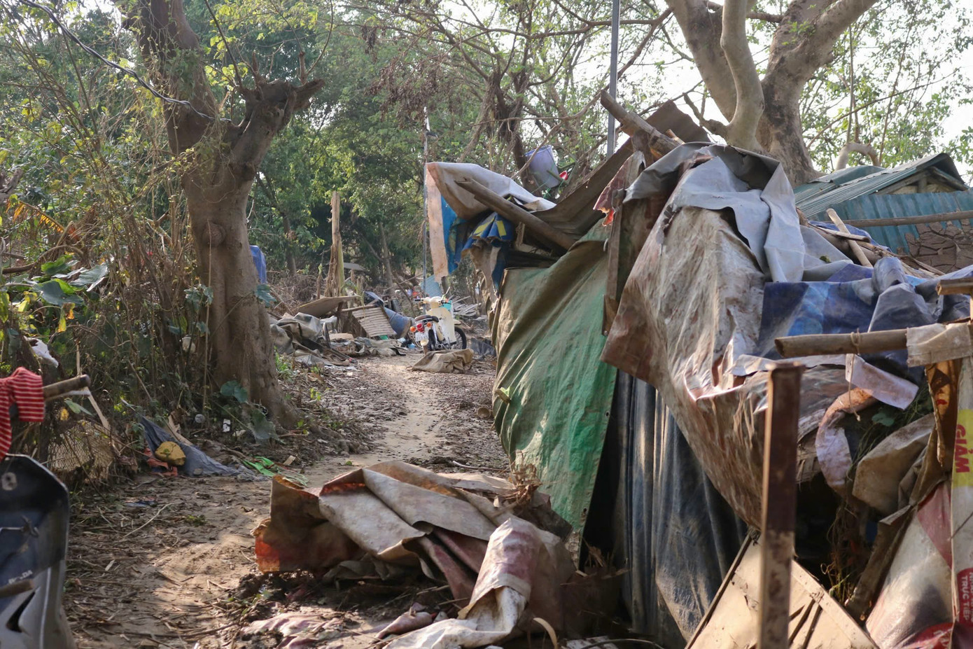 Cảnh vật xơ xác, cây cối đổ rạp hai bên đường, nhiều nhà bị tốc mái, sập vách hay thậm chí sập luôn cả "nhà". Những tấm tôn, cành cây, rác lẫn đồ dùng nằm lẩn khuất trong bùn đất, ngổn ngang khắp lối đi. Cảnh vật xơ xác, cây cối đổ rạp hai bên đường, nhiều nhà bị tốc mái, sập vách hay thậm chí sập luôn cả "nhà". Những tấm tôn, cành cây, rác lẫn đồ dùng nằm lẩn khuất trong bùn đất, ngổn ngang khắp lối đi.