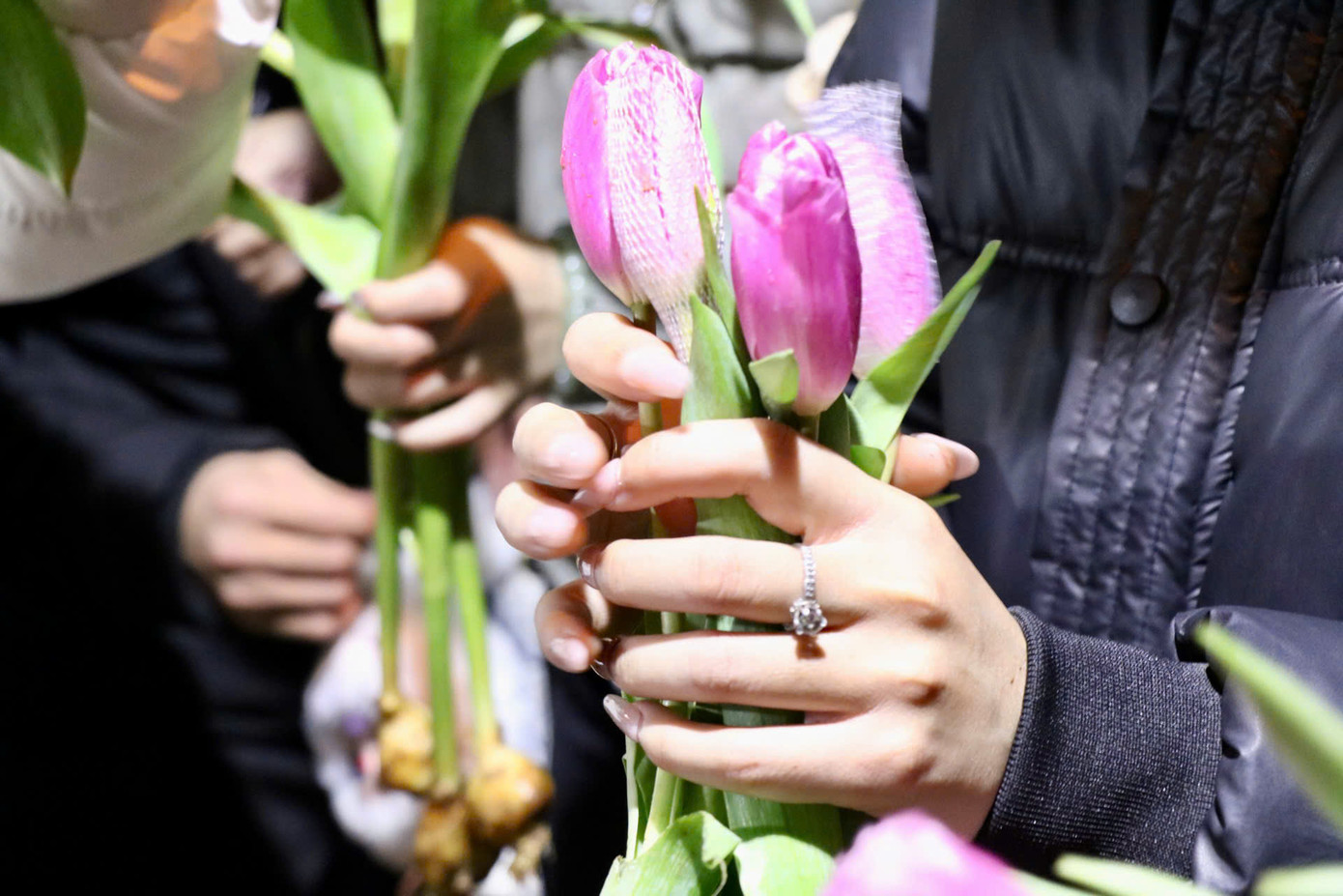 Hoa tulip có khoảng 150 loài, có nhiều màu sắc rực rỡ. Hoa có 6 cánh, thường là hình chuông hoặc hình ngôi sao. Các cánh có thể mịn, tua hoặc xù.