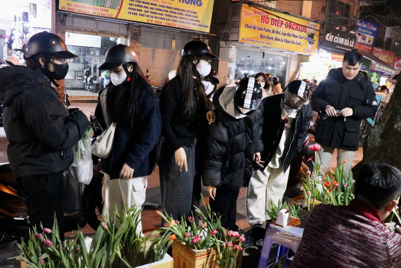 Những ngày gần đây, các bạn trẻ rỉ tai nhau mua hoa tulip về trồng trang trí trong nhà.