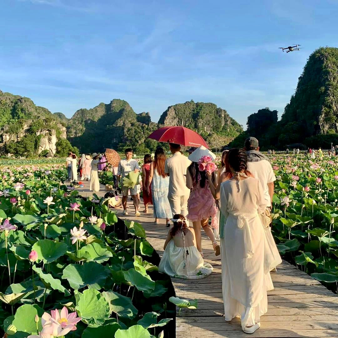 Lượng khách đến check in cùng sen tăng nhiều từ giữa tháng 6 đến giờ vẫn chưa "hạ nhiệt". Ảnh: Tất Thành
