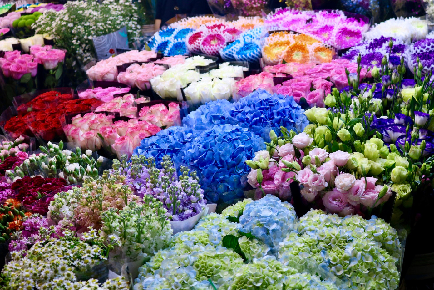 Nhiều loại hoa đẹp được bày bán tại chợ hoa Quảng An để phục vụ nhu cầu thắp hương ngày rằm cũng như chơi hoa sau tết của người dân Thủ đô.