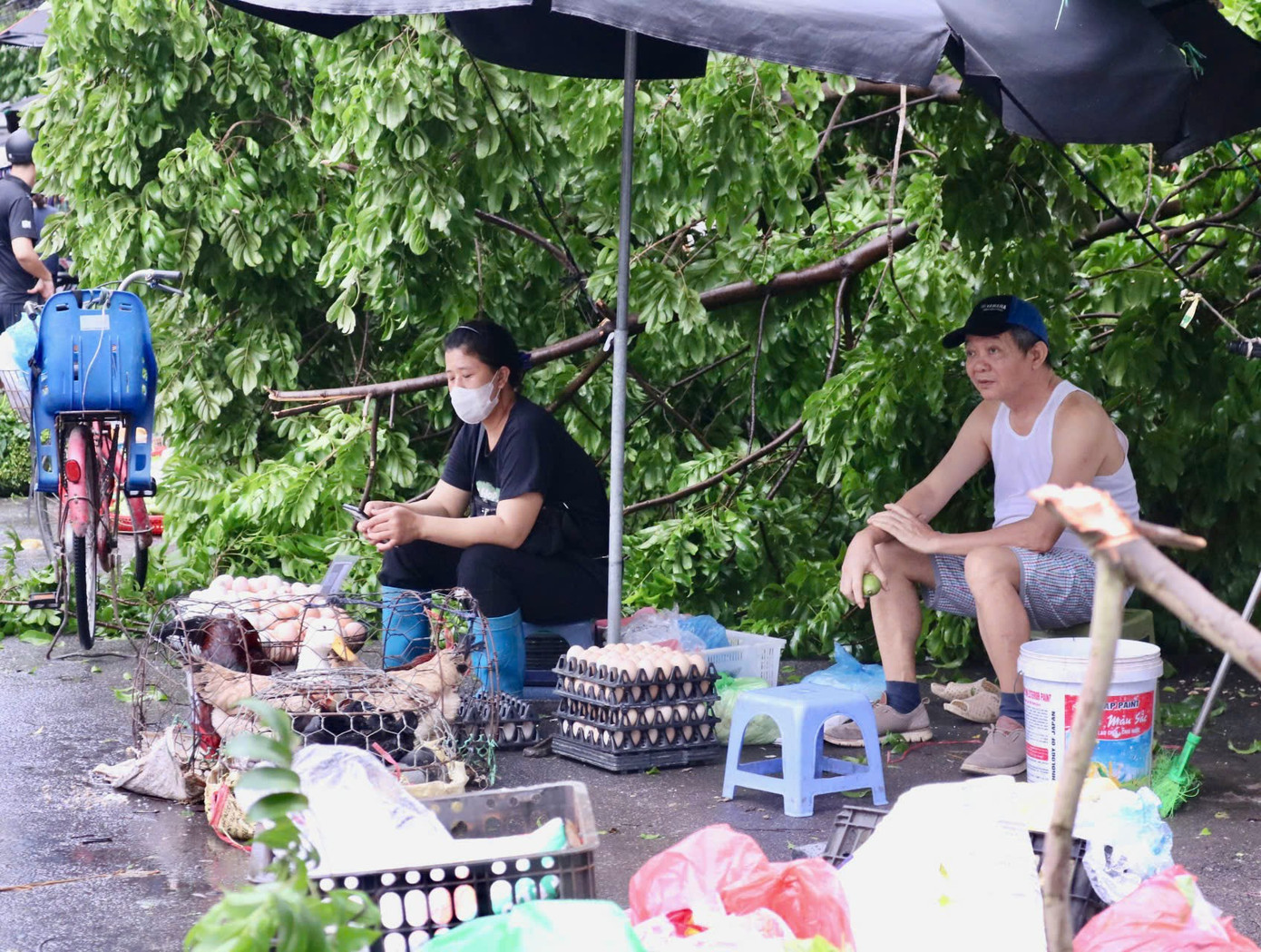 Chị Vũ Thị Gái tiểu thương bán rau tại chợ Dương Quảng Hàm cho biết: "Tuy hôm nay là cuối tuần nhưng sức mua giảm nhiều so với trước, một phần do trời mới mưa bão người dân cũng chưa ra đường nhiều, một phần do trước đó người dân đã đi mua đồ tích trữ mấy ngày liền nên hôm nay ít người đi mua". Chị Gái cho biết, trước khi bão đổ bộ Hà Nội, cửa hàng chị bán được gấp 4 - 5 lần ngày thường, có lúc còn cháy hàng không có mà bán. Chị Vũ Thị Gái tiểu thương bán rau tại chợ Dương Quảng Hàm cho biết: "Tuy hôm nay là cuối tuần nhưng sức mua giảm nhiều so với trước, một phần do trời mới mưa bão người dân cũng chưa ra đường nhiều, một phần do trước đó người dân đã đi mua đồ tích trữ mấy ngày liền nên hôm nay ít người đi mua". Chị Gái cho biết, trước khi bão đổ bộ Hà Nội, cửa hàng chị bán được gấp 4 - 5 lần ngày thường, có lúc còn cháy hàng không có mà bán.