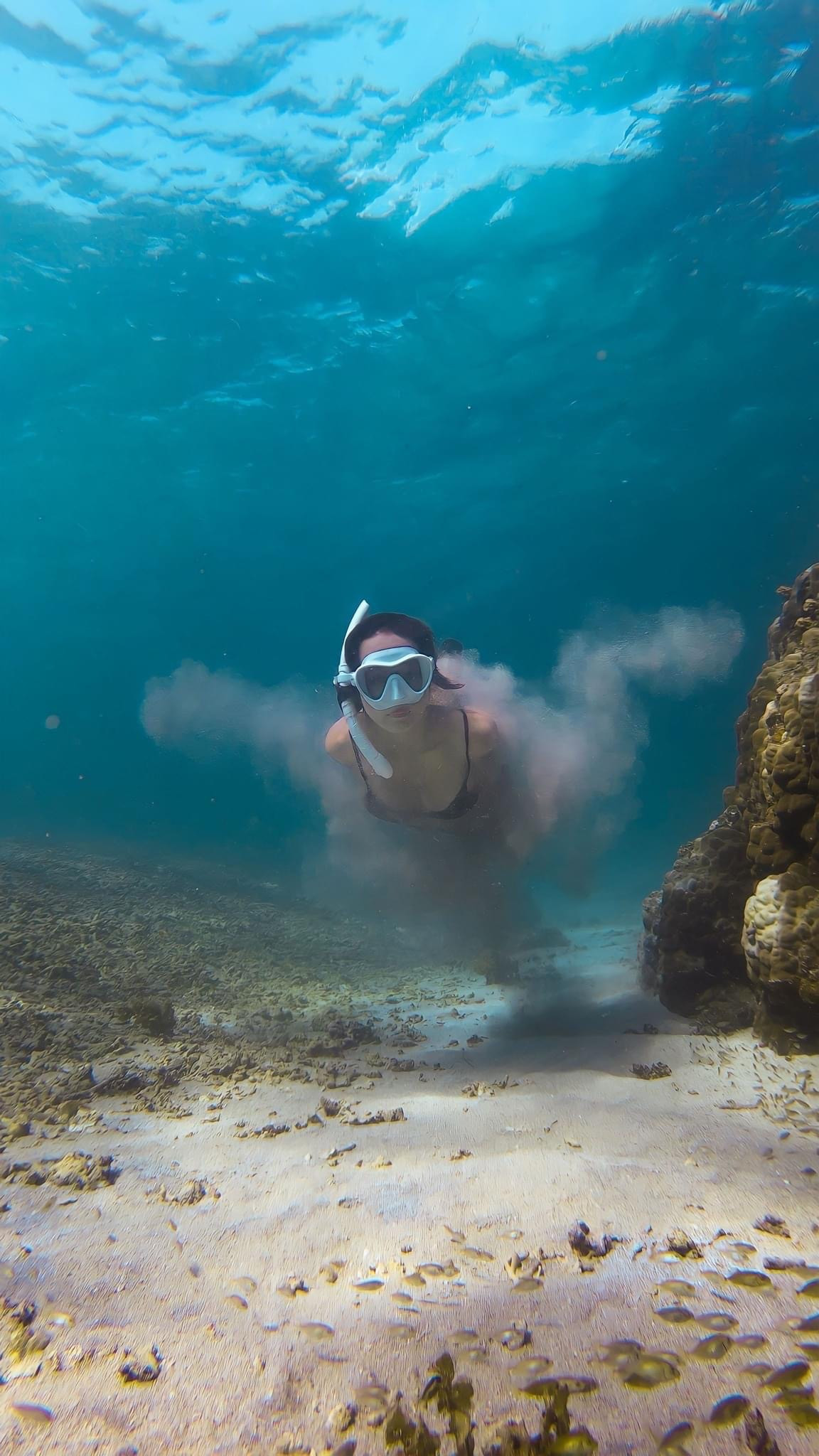 "Điều tuyệt vời nhất sau 1 tháng là mình đã biết bơi thành thạo, từ một đứa sợ nước đến bây giờ mình có thể thoải mái vùng vẫy giữa biển. Và đến tháng thứ 2 mình đã biết lặn, cảm giác sung sướng nhất là khi mình có thể tận mắt chứng kiến những rạn san hô và những con cá sắc màu. Cảm giác lặn dưới lòng đại dương giống như cảm giác mình biết bay trên bầu trời vậy." "Điều tuyệt vời nhất sau 1 tháng là mình đã biết bơi thành thạo, từ một đứa sợ nước đến bây giờ mình có thể thoải mái vùng vẫy giữa biển. Và đến tháng thứ 2 mình đã biết lặn, cảm giác sung sướng nhất là khi mình có thể tận mắt chứng kiến những rạn san hô và những con cá sắc màu. Cảm giác lặn dưới lòng đại dương giống như cảm giác mình biết bay trên bầu trời vậy."