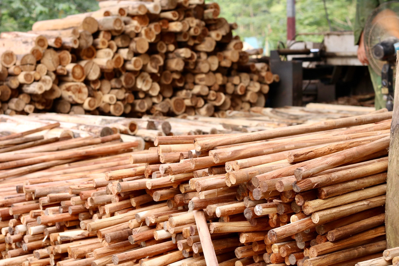 Với chi phí đầu tư ban đầu gần 700 triệu đồng, anh đã đầu tư mua máy cắt gỗ, máy bóc ván và máy cắt ván tự động, thuê đất và dựng xưởng. Diện tích xưởng của anh Thìn rộng đến 10.000 m2 trong đó một phần để xây dựng xưởng và một phần để nguyên vật liệu cũng như phơi ván sau khi bóc. Với chi phí đầu tư ban đầu gần 700 triệu đồng, anh đã đầu tư mua máy cắt gỗ, máy bóc ván và máy cắt ván tự động, thuê đất và dựng xưởng. Diện tích xưởng của anh Thìn rộng đến 10.000 m2 trong đó một phần để xây dựng xưởng và một phần để nguyên vật liệu cũng như phơi ván sau khi bóc.