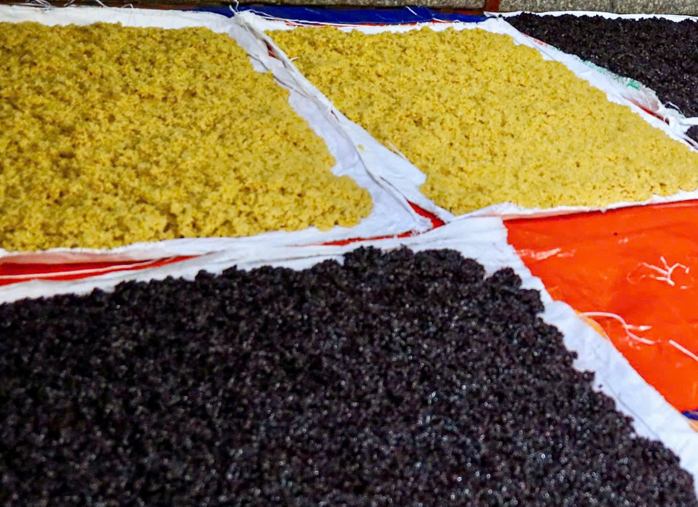 Khắp làng Phú Thượng trong những ngày này đượm nồng mùi cơm rượu, mùi men thơm của gạo nếp, gạo cẩm được người dân ủ để bán ra thị trường.