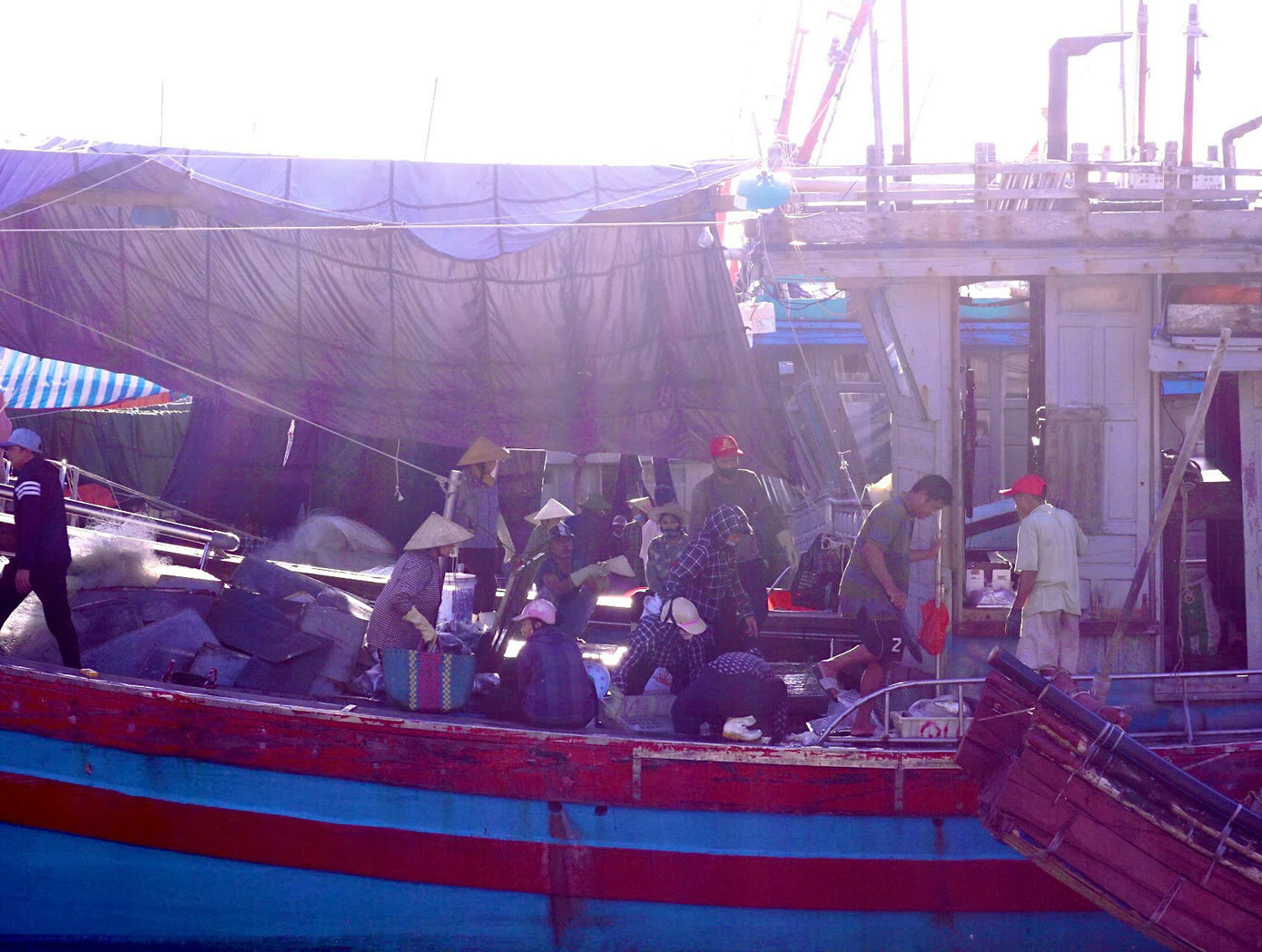 Hoạt động buôn bán, nhập hàng diễn ra từ 4h30 - 5h sáng cho đến khi hết tàu thuyền về bến không kể sáng chiều.