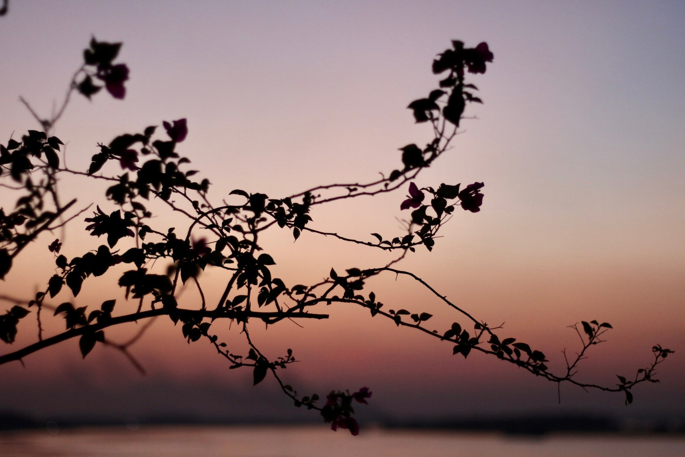 Vào mùa này, trời tối nhanh hơn mùa hè nhưng lại là khoảng thời gian lý tưởng nhất để đến đây ngắm hoàng hôn, tận hưởng bầu không khí giao mùa mát mẻ, trong lành.