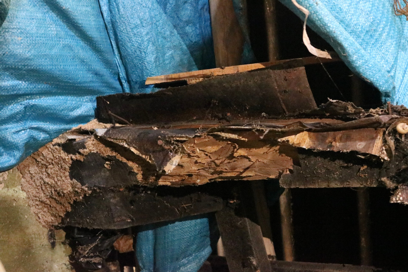 Các khu vực có gỗ như xà nhà, cột chống, cánh cửa đều bị mối mọt, mục rỗng.