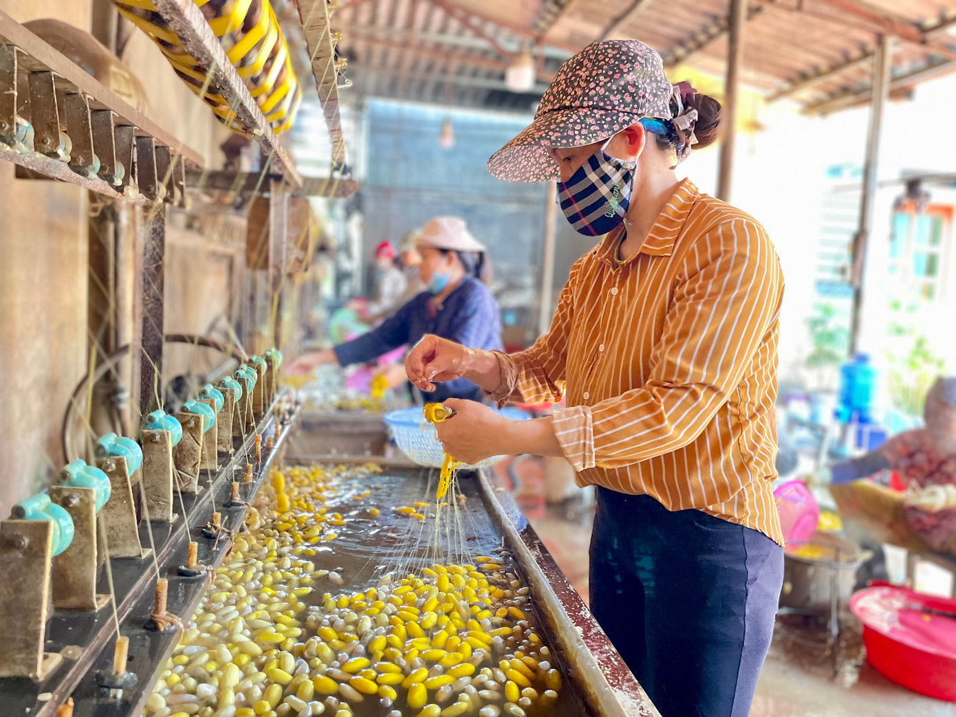 Nhiều khu công nghiệp kéo về Yên Phong hoạt động, sản xuất làm cho bầu không khí nơi đây không còn phù hợp để nuôi tằm nữa. Nuôi lứa nào chết lứa đó hoặc nếu có sống thì chất lượng tơ cũng rất kém.