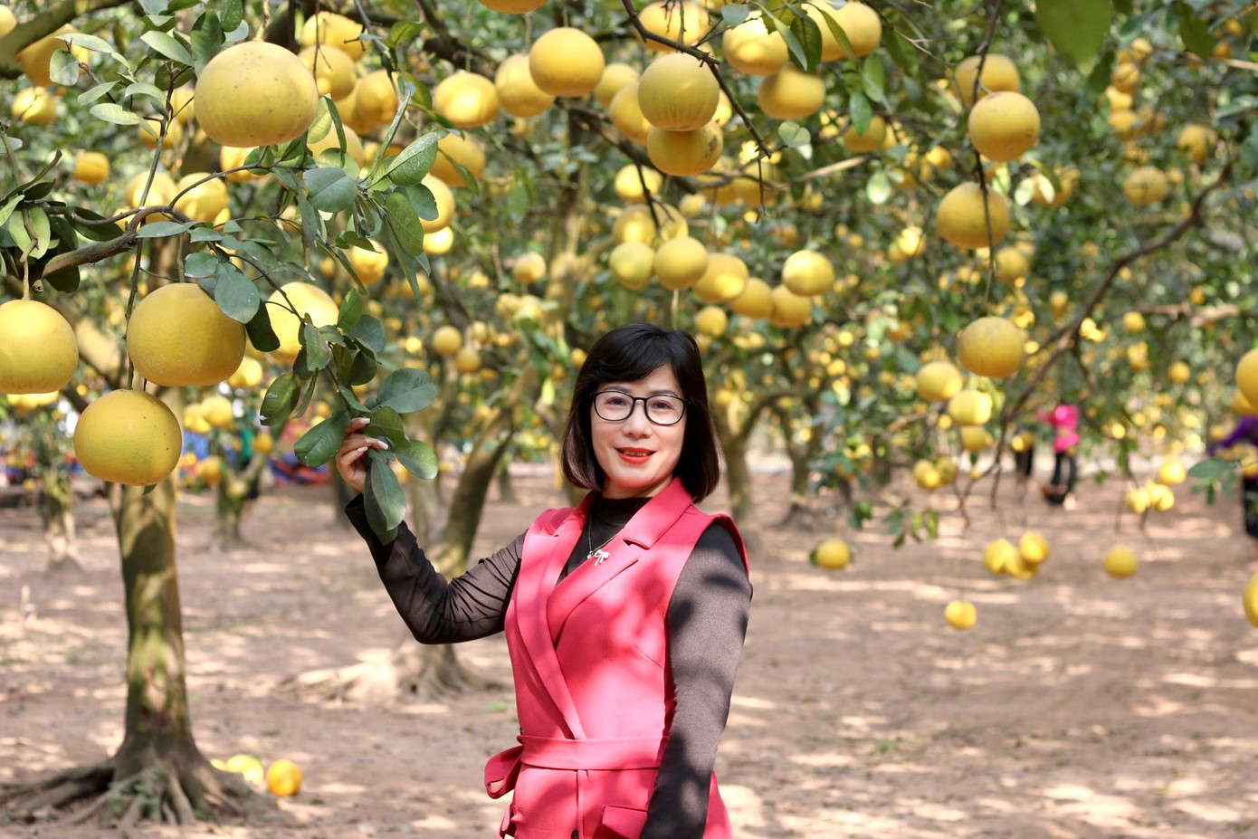 Chị Thanh Nga (Hoàng Quốc Việt) cho biết: "Mấy ngày gần đây, tôi thấy nhiều người chụp hình tại vườn bưởi rồi đăng lên mạng xã hội. Vừa hay hôm nay có việc đi qua đây nên tôi cũng vào chụp mấy kiểu làm kỷ niệm."