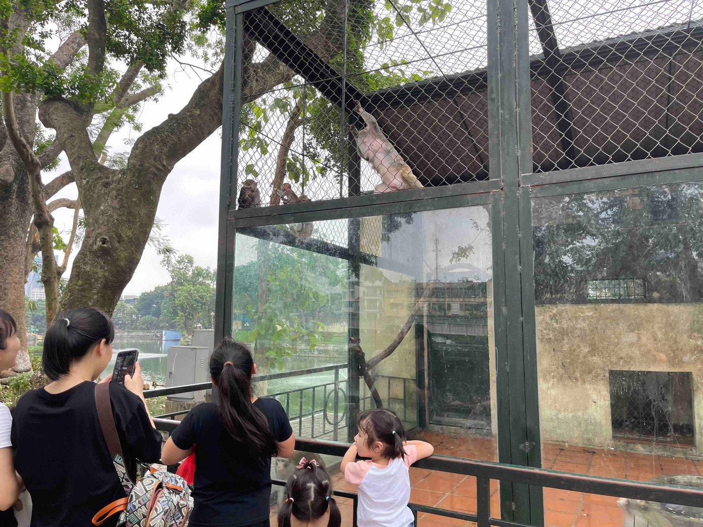 Theo phản ảnh của người dân khi tham quan, nhiều chuồng thú bốc mùi hôi khó chịu, có nơi còn lúc nhúc chuột trên những bãi thức ăn thừa. Chị Hoàng Ngọc Thảo (quê Nam Định) đưa con từ quê ra thăm người nhà tiện thể cho các bé qua sở thú chơi, chị lắc đầu ngao ngán: "Các bé nhà tôi trước giờ chỉ được xem sở thú trên truyền hình nên rất háo hức khi được đưa đến đây. Tuy nhiên khi đến thăm các chuồng thú thì mùi hôi thối rất khó chịu, nước dưới hồ tanh, nhiều nơi còn có cá chết. Cảnh quan nhìn chung nhếch nhác trong khi vé vào cửa thì tương đối cao." Theo phản ảnh của người dân khi tham quan, nhiều chuồng thú bốc mùi hôi khó chịu, có nơi còn lúc nhúc chuột trên những bãi thức ăn thừa. Chị Hoàng Ngọc Thảo (quê Nam Định) đưa con từ quê ra thăm người nhà tiện thể cho các bé qua sở thú chơi, chị lắc đầu ngao ngán: "Các bé nhà tôi trước giờ chỉ được xem sở thú trên truyền hình nên rất háo hức khi được đưa đến đây. Tuy nhiên khi đến thăm các chuồng thú thì mùi hôi thối rất khó chịu, nước dưới hồ tanh, nhiều nơi còn có cá chết. Cảnh quan nhìn chung nhếch nhác trong khi vé vào cửa thì tương đối cao."