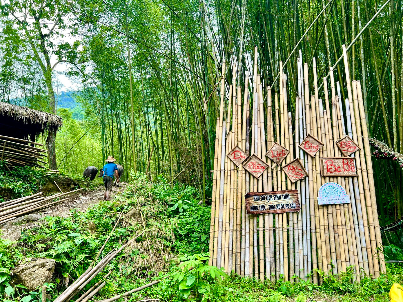 Hình ảnh cây trúc thường được người xưa dùng làm biểu tượng cho sức sống mãnh liệt, bền bỉ, ý chí kiên cường, bất khuất, bất chấp hoàn cảnh vẫn vươn lên tỏa sáng của con người.