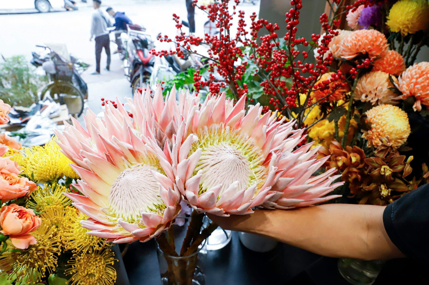 Năm nay, tại cửa hàng xuất hiện một loại hoa đặc biệt mang tên hoa thảo đường hoàng đế Nam Phi. Đây là loại hoa thuộc dạng "vip" có giá đắt nhất trong cửa hàng. Theo anh Nam, một bông hoa đặc biệt này có giá lên đến 800.000 đồng/bông. "Tuy giá đắt như vậy nhưng vẫn có khách tìm mua. Và để sở hữu được một bó hoa này khách hàng không chỉ phải chi hàng triệu đồng mà còn phải đặt trước cả tháng mới có vì hoa này được vận chuyển trực tiếp từ Nam Phi về đây", anh Nam cho biết thêm. Năm nay, tại cửa hàng xuất hiện một loại hoa đặc biệt mang tên hoa thảo đường hoàng đế Nam Phi. Đây là loại hoa thuộc dạng "vip" có giá đắt nhất trong cửa hàng. Theo anh Nam, một bông hoa đặc biệt này có giá lên đến 800.000 đồng/bông. "Tuy giá đắt như vậy nhưng vẫn có khách tìm mua. Và để sở hữu được một bó hoa này khách hàng không chỉ phải chi hàng triệu đồng mà còn phải đặt trước cả tháng mới có vì hoa này được vận chuyển trực tiếp từ Nam Phi về đây", anh Nam cho biết thêm.