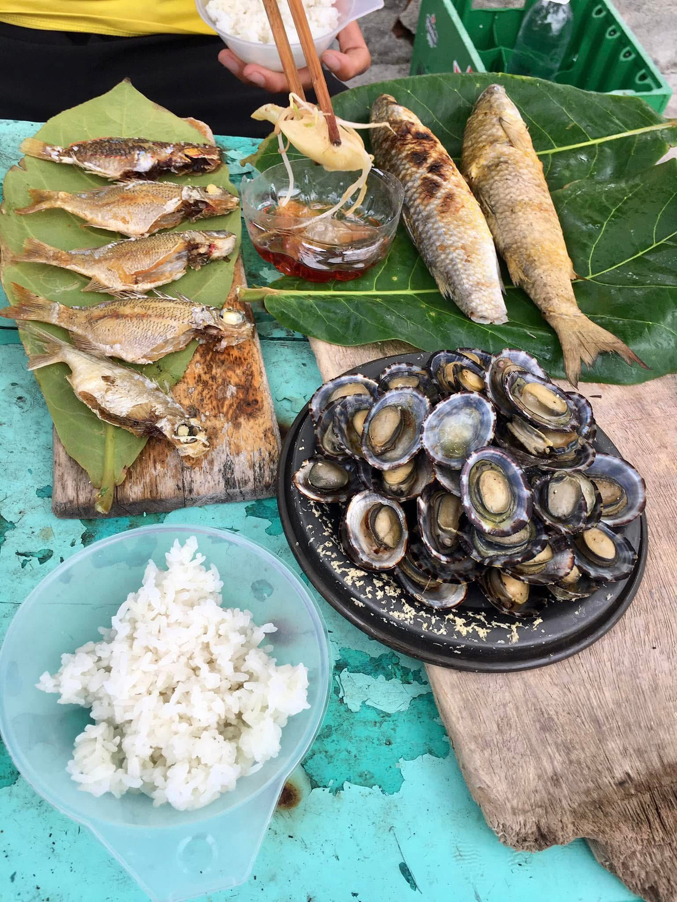 Ốc vú dẹt ăn vi sinh vật có trong nước biển nên khá sạch, chỉ cần sơ chế đơn giản là có thể nấu ăn. Ảnh: An Bình mê SUP