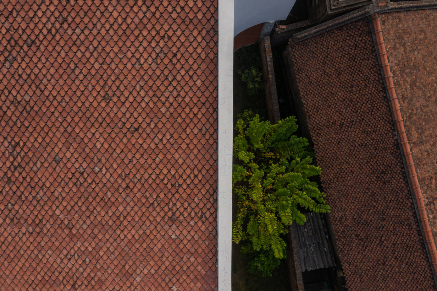 Mái ngói không chỉ gợi nhớ về hình ảnh ngôi nhà Việt xưa mà còn tạo nên sự hài hòa với cảnh quan xung quanh.