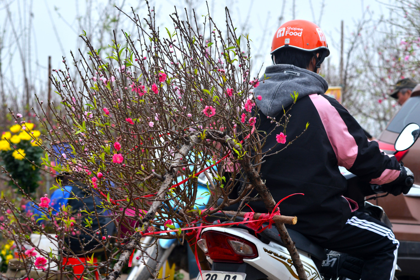 Ông Vũ Văn Vinh (làm nghề xe ôm đầu làng Nhật Tân) chia sẻ, những ngày cuối năm khách đi xe ôm nhiều hơn, tuy nhiên vận chuyển cây cảnh cho khách sẽ có tiền công cao hơn, vì vậy ông quyết định "chuyển nghề". "Vào giờ hành chính thì ít khách đi xe ôm, tôi tranh thủ chạy xe chuyển đào cho người mua", ông Vinh cho biết, trung bình mỗi lượt chở cây ông thu về 300 nghìn đồng.