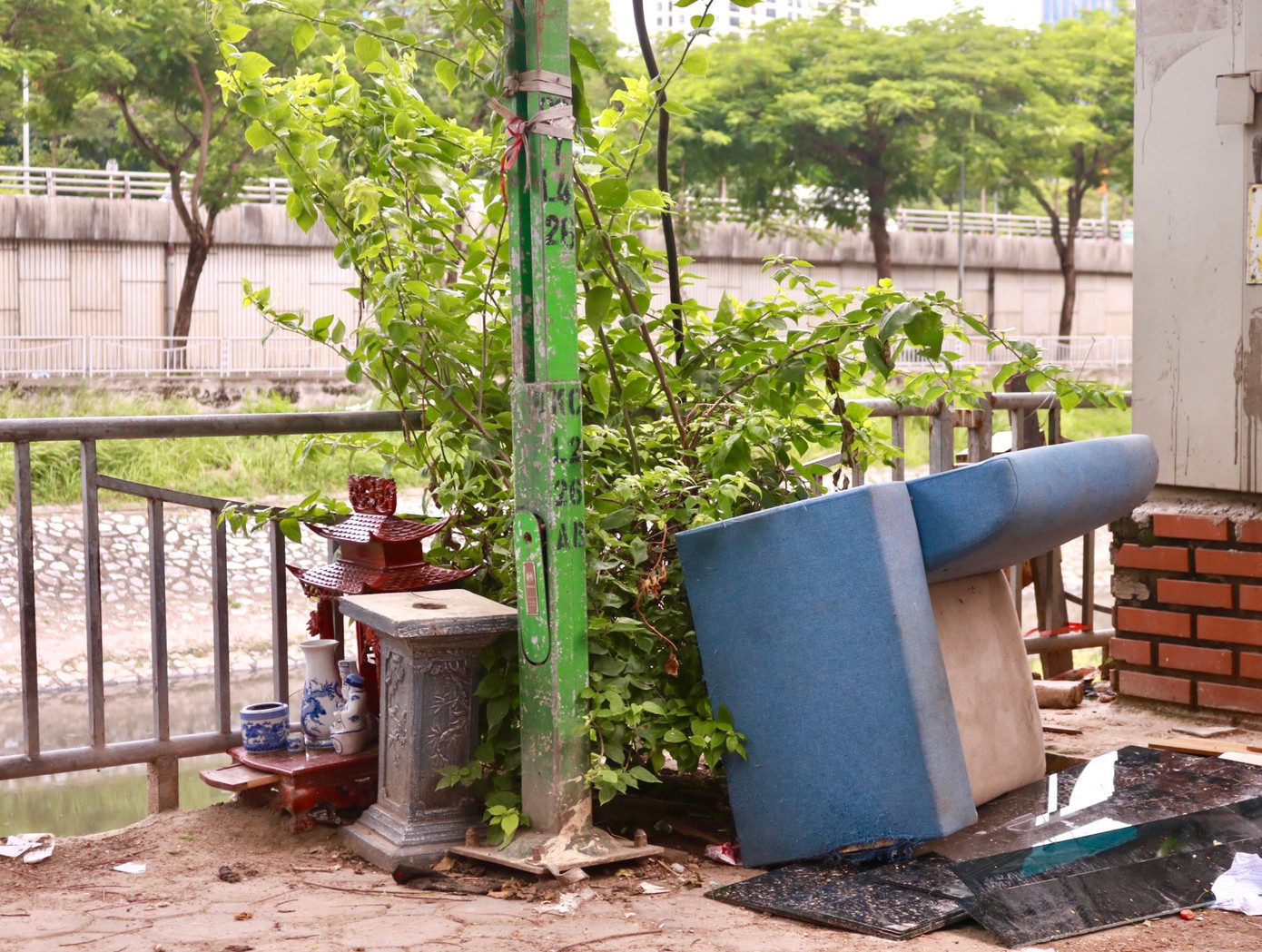 Tuy nhiên, theo ghi nhận tại các tuyến đường được trồng hoa giấy, tại nhiều điểm không gian sống, phát triển của hoa giấy đang bị lấn chiếm bởi rác thải sinh hoạt, xe cộ, vật liệu xây dựng.