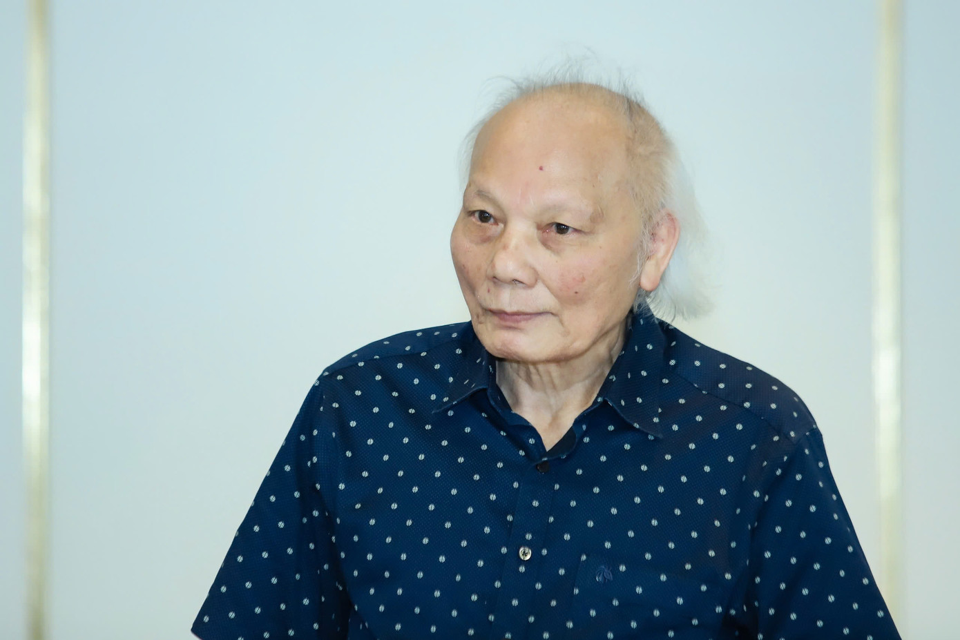 GS.TSKH Nguyễn Mại, Chủ tịch danh dự Hiệp hội doanh nghiệp đầu tư nước ngoài (VAFIE).