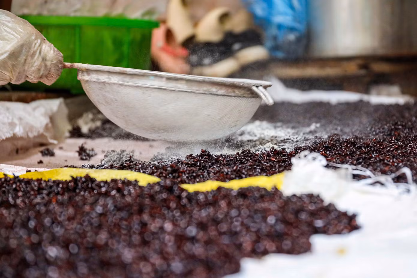 Cơm nếp sau khi nấu để nguội sẽ được rây men và ủ trong vòng 2-3 ngày là đã hoàn thành một mẻ cơm rượu thơm ngon.