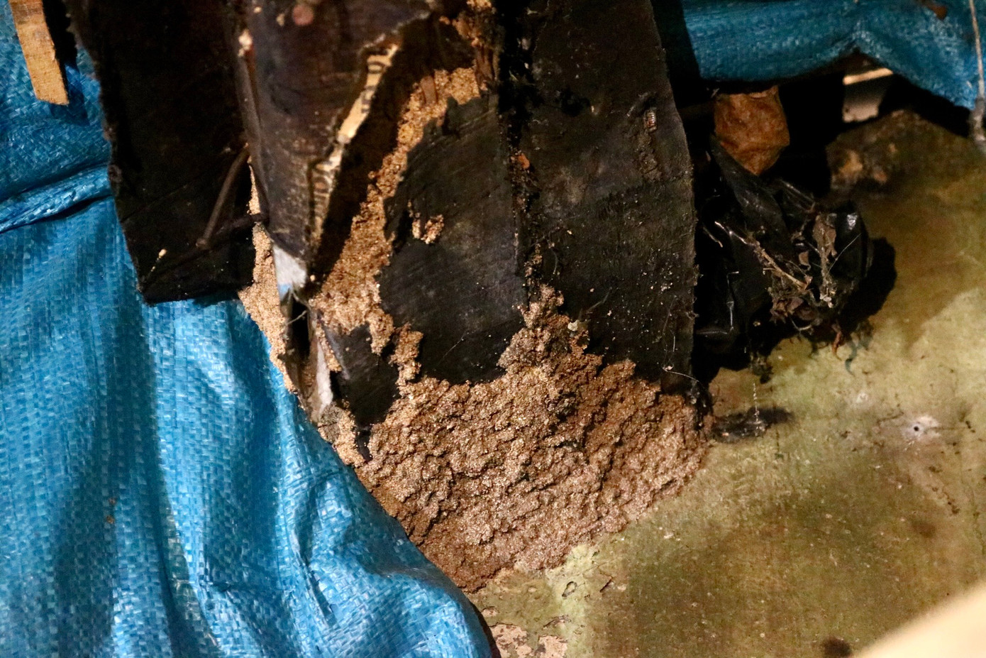 Các khu vực có gỗ như xà nhà, cột chống, cánh cửa đều bị mối mọt, mục rỗng.