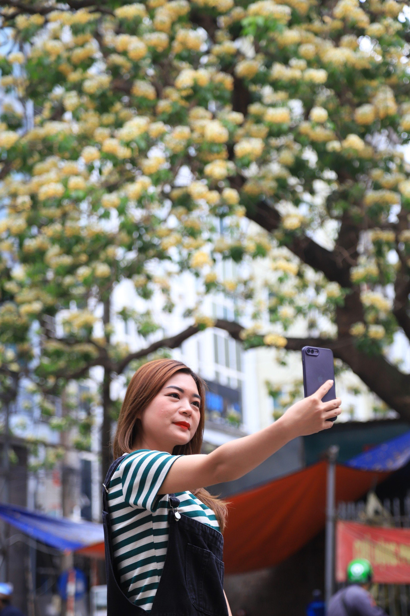 Thời điểm hoa bún nở rộ thu hút nhiều người dân đến check in.