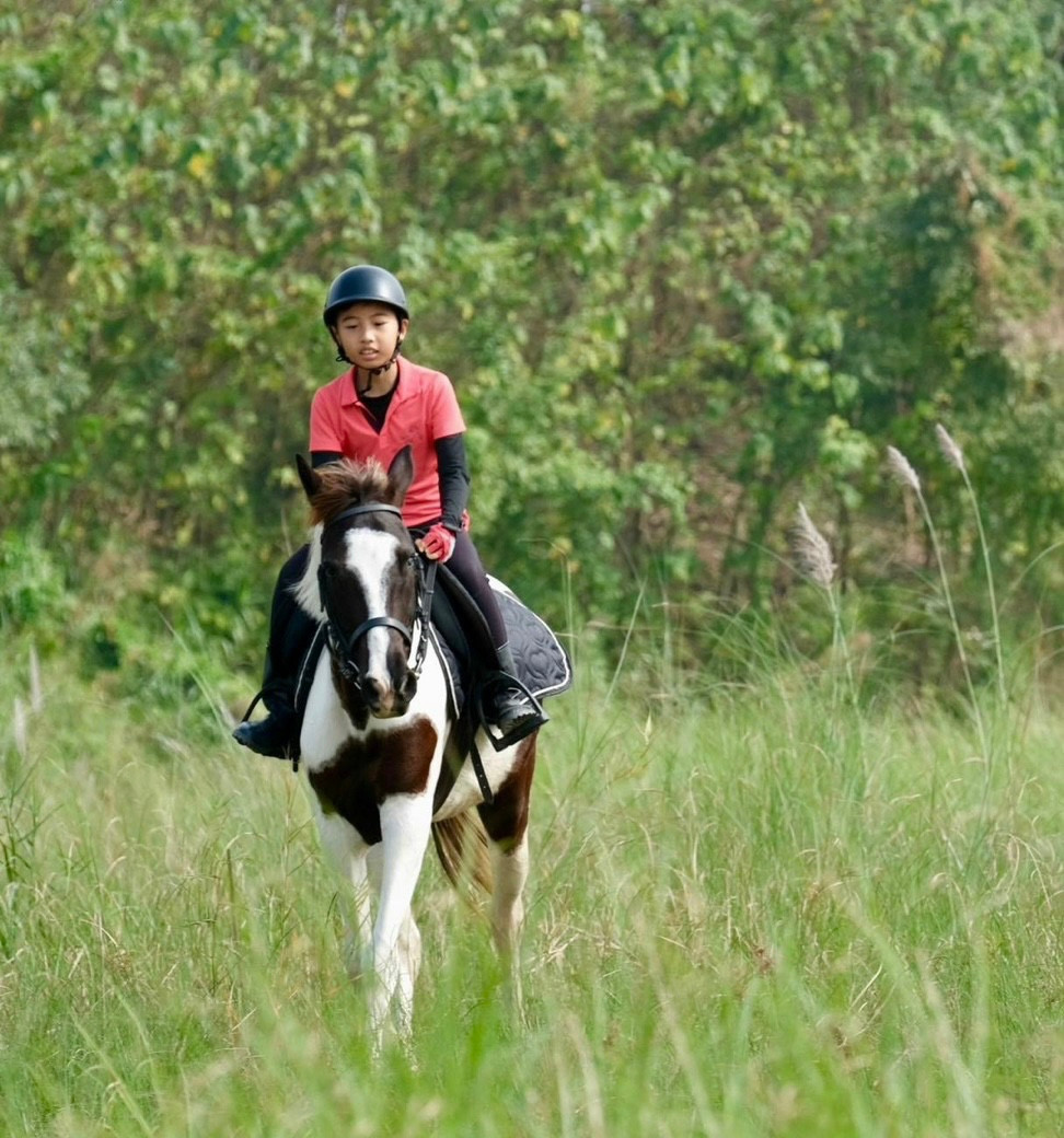 Cậu bé Minh cùng bố tham gia cưỡi ngựa được khoảng 6 tháng, đã thành thạo với những động tác cưỡi ngựa và có thể chạy được nước trung.