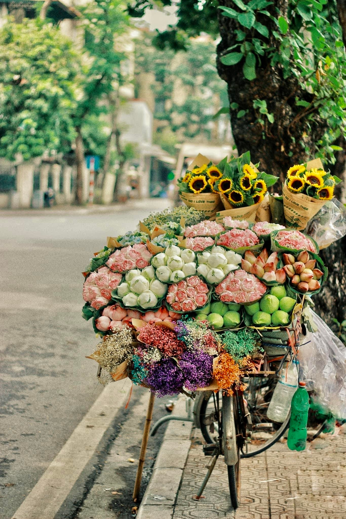 Không chỉ có hoa, đặc trưng của những chiếc xe này còn có các bình chứa nước tưới. Vào những ngày trời hanh khô, những giọt nước được tưới vào sẽ khiến các nhánh hoa thêm phần tươi tắn, rực rỡ. Không chỉ có hoa, đặc trưng của những chiếc xe này còn có các bình chứa nước tưới. Vào những ngày trời hanh khô, những giọt nước được tưới vào sẽ khiến các nhánh hoa thêm phần tươi tắn, rực rỡ.