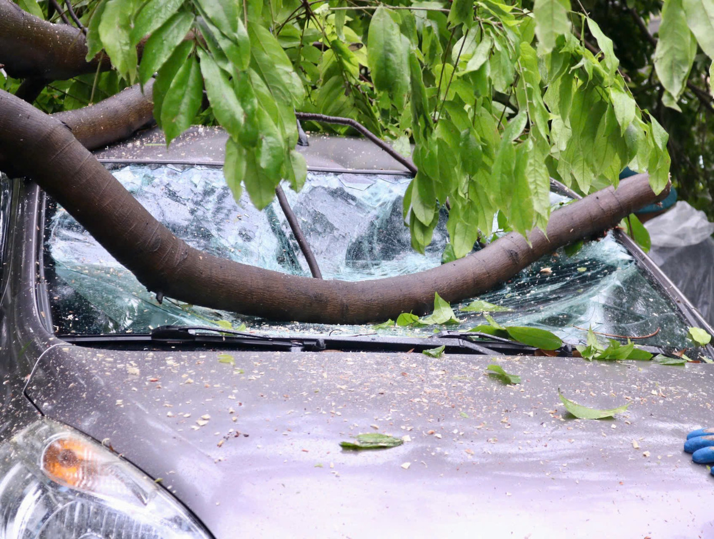 Nhiều tài sản của người dân bị thiệt hại sau bão Yagi. Nhiều tài sản của người dân bị thiệt hại sau bão Yagi.