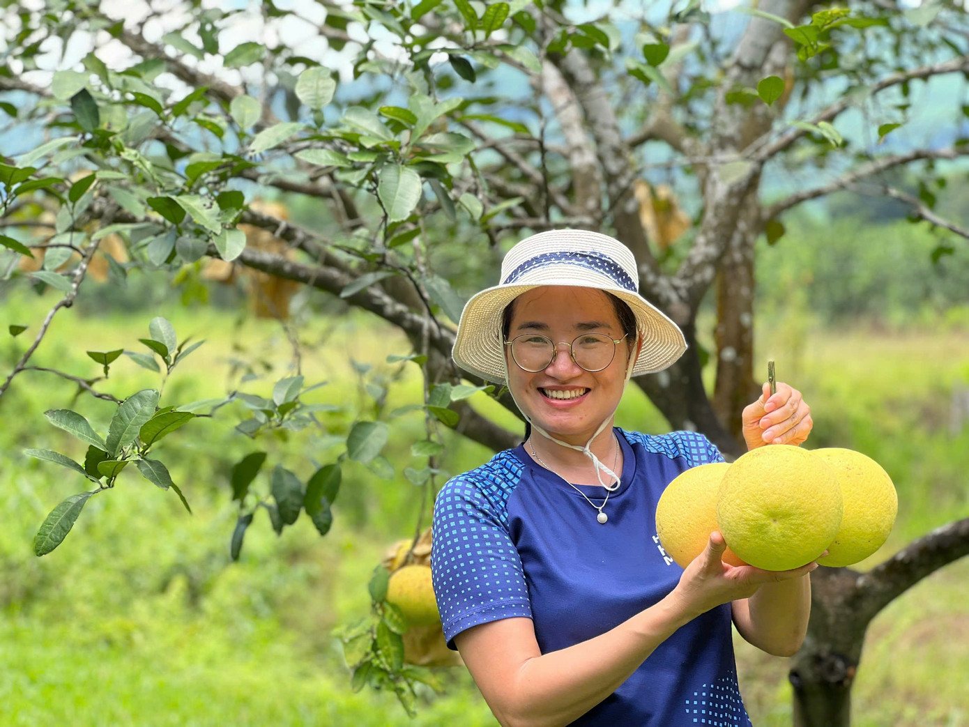 Bưởi năm nay tuy năng suất không được như mọi năm nhưng giá ở các nhà vườn vẫn giữ ổn định. Giá dao động từ 20.000-25.000 đồng/quả. Mỗi trái bưởi có trọng lượng khoảng 0,8 - 1,2 kg.