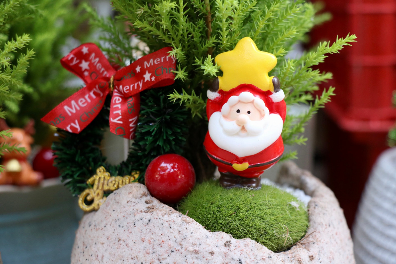 Anh Hùng - một tiểu thương bán cây cảnh ở đường Hoàng Hoa Thám - cho biết, những ngày gần đây, số lượng khách đến mua thông tươi mini và tùng tươi tại cửa hàng tăng khoảng 20% so với tuần trước. Tính cả bán trực tiếp và trực tuyến, mỗi ngày cửa hàng anh Hùng bán được khoảng 40 cây thông và tùng các loại.