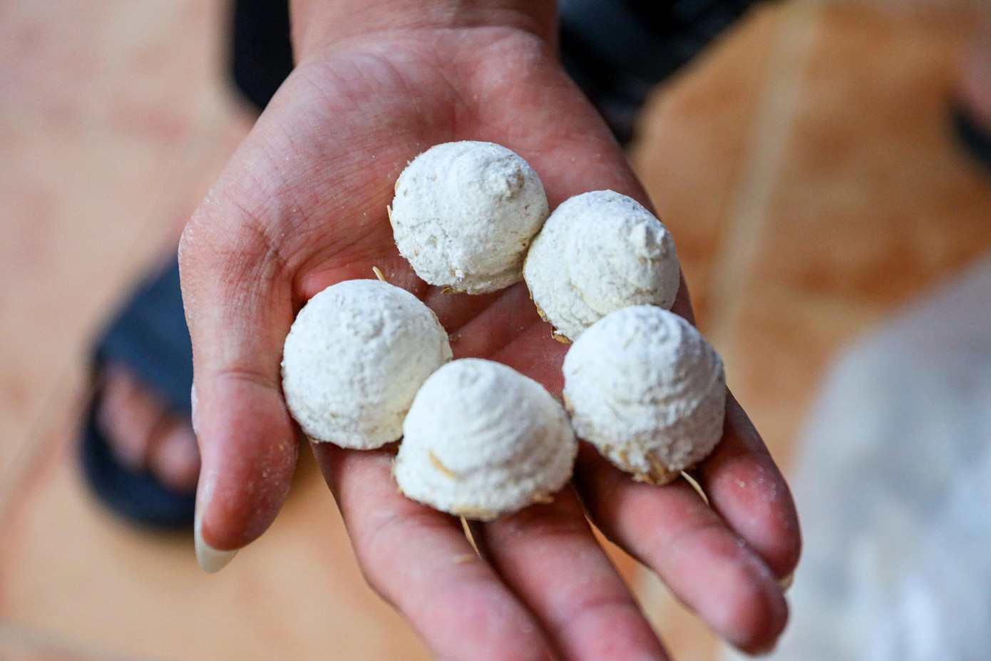 Loại men được sử dụng để ủ rượu nếp là men nấu rượu vỏ trấu được giã hoặc xay nhuyễn.