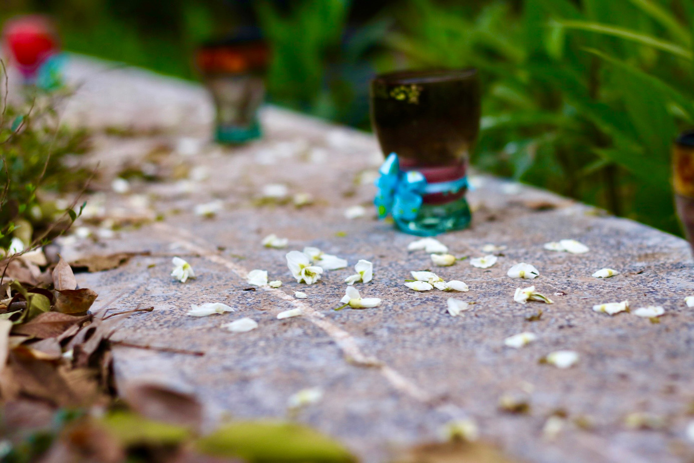 Mỗi độ có cơn gió thổi qua, những cánh trắng tinh, mỏng manh lại rời cành, chao đảo trong không trung, tạo nên khung cảnh vô cùng lãng mạn, làm lay động lòng người. Những cánh hoa rơi xuống đường, nằm lại trên vỉa hè hay nương mình tại bất cứ đâu có thể tạo nên những thảm hoa trắng muốt hút mắt người đi đường.