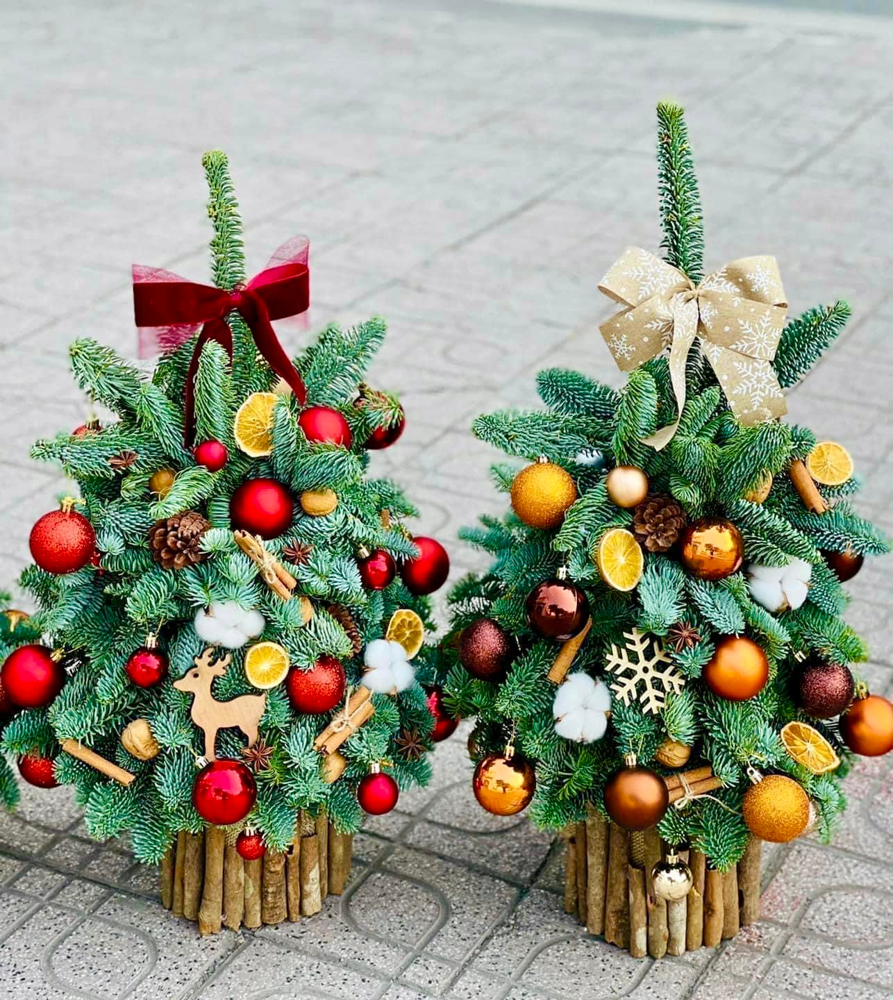 Những chậu thông mini được cắm từ nhiều cành nhỏ.