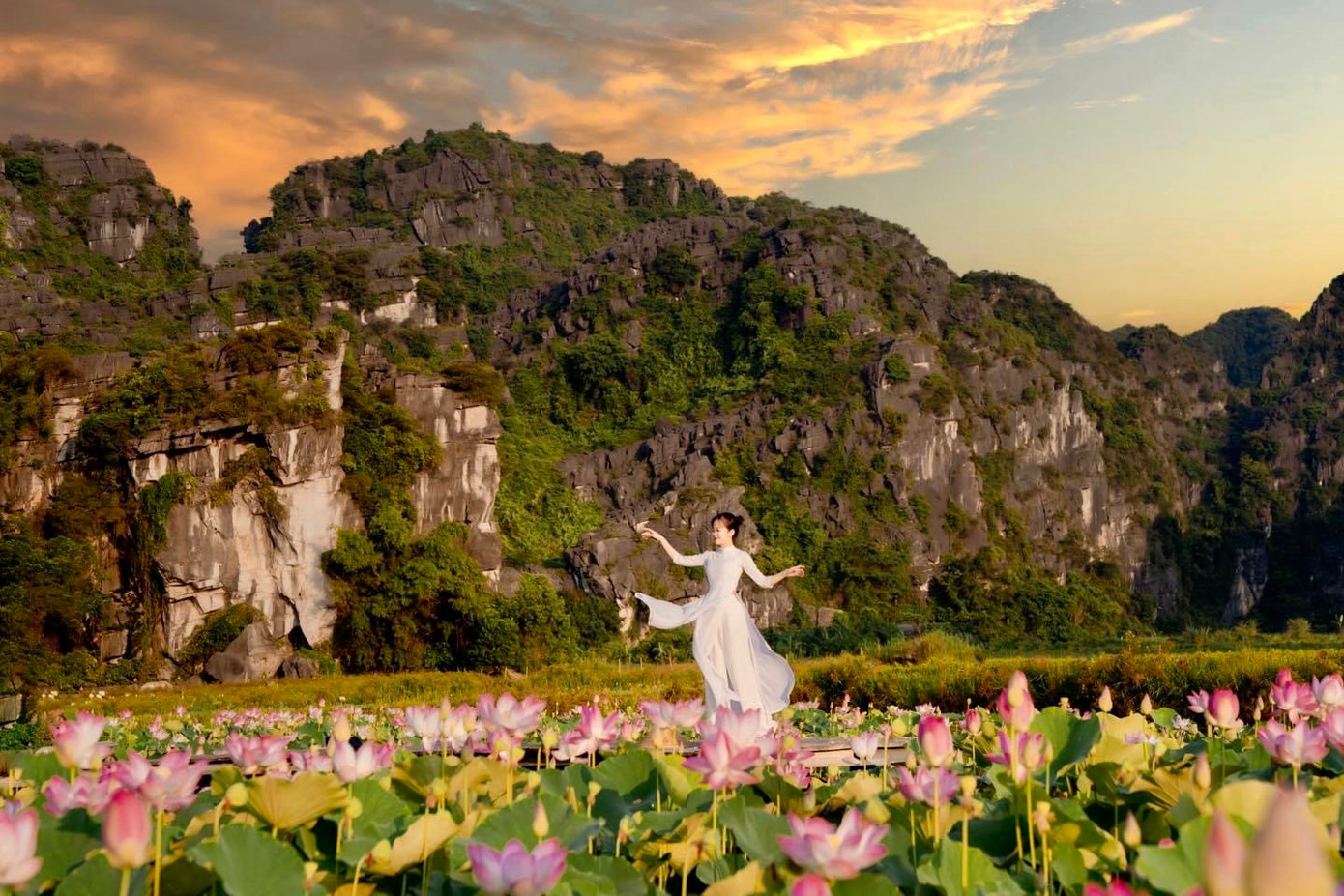 Khung cảnh thiên nhiên ở đầm sen Hang Múa tuyệt đẹp với sự kết hợp hài hòa giữa núi non trùng điệp và sắc sen yêu kiều. Ảnh: Tất Thành