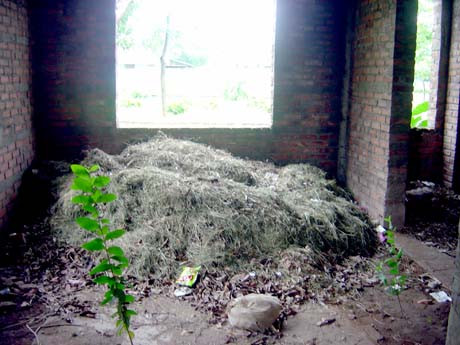 Tập kết cỏ rác