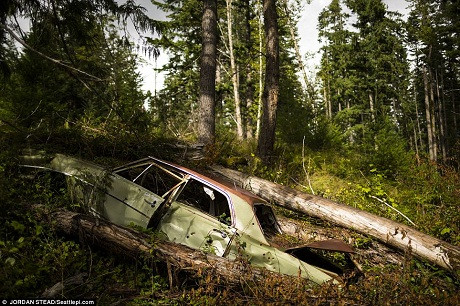 Một chiếc xe hơi cũ nằm rỉ sét trong rừng. Người ta dự đoán sẽ rất nhanh thôi, địa danh Lester sẽ biến mất và ngay cả những phế tích này cũng sẽ chẳng còn. Một chiếc xe hơi cũ nằm rỉ sét trong rừng. Người ta dự đoán sẽ rất nhanh thôi, địa danh Lester sẽ biến mất và ngay cả những phế tích này cũng sẽ chẳng còn