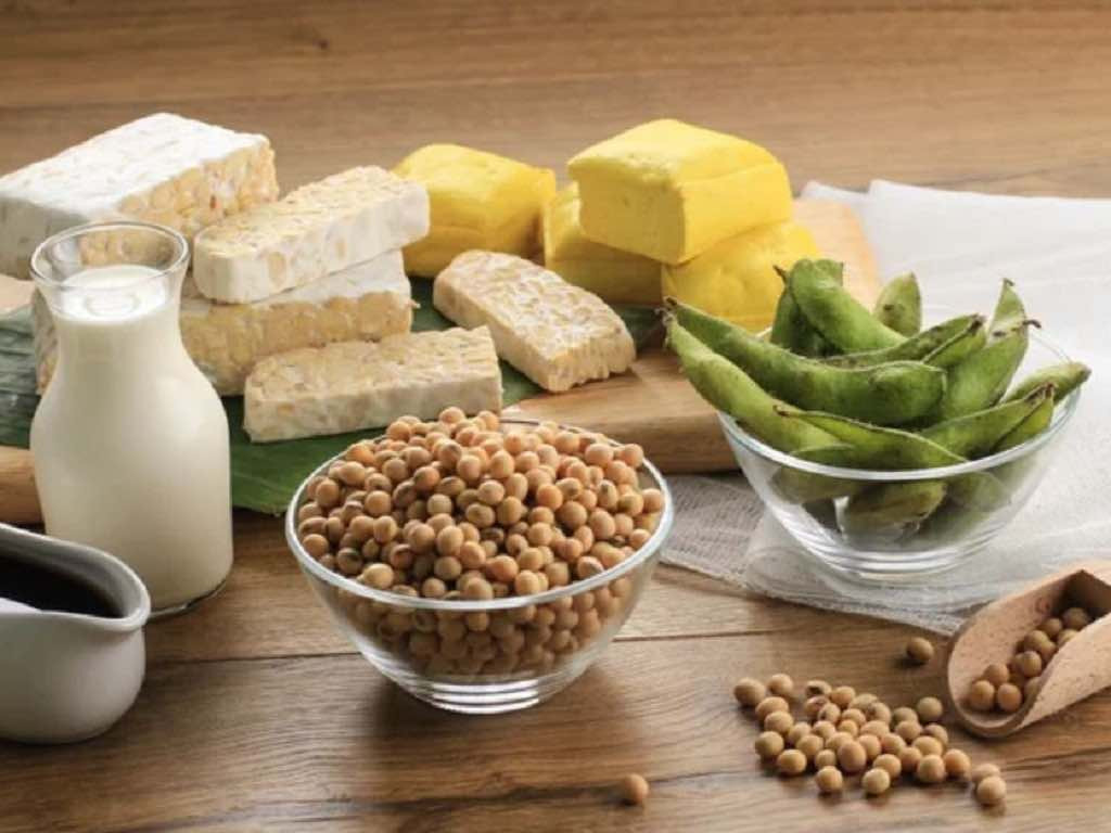 Khuyến nghị đậu nành cho bệnh nhân ung thư hiện nay là: 1- 2 đơn vị/ngày tương đương với 1-2 bìa đậu phụ, 1-2 cốc sữa đậu nành, 30-60g hạt đậu nành. Ảnh minh hoạ: Internet Khuyến nghị đậu nành cho bệnh nhân ung thư hiện nay là: 1- 2 đơn vị/ngày tương đương với 1-2 bìa đậu phụ, 1-2 cốc sữa đậu nành, 30-60g hạt đậu nành. Ảnh minh hoạ: Internet