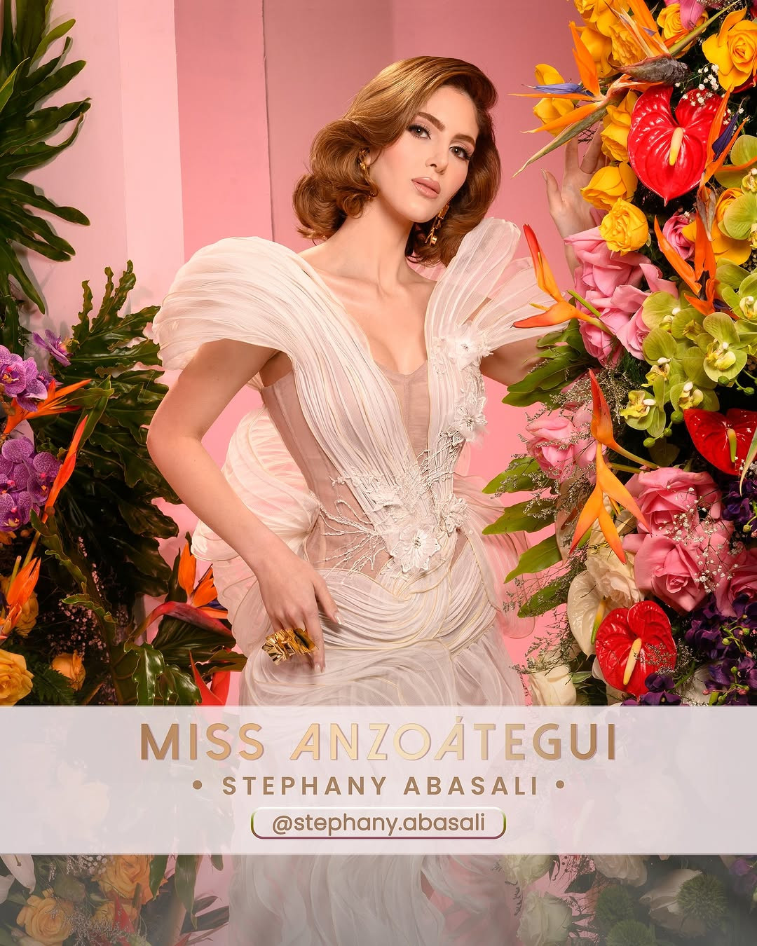 Trước khi tham gia Hoa hậu Venezuela 2024, Abasali từng thi Hoa hậu Du lịch và Hoa hậu Du lịch Thế giới.