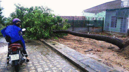 Nha Trang tê liệt vì sạt lở, ngập lụt ảnh 5