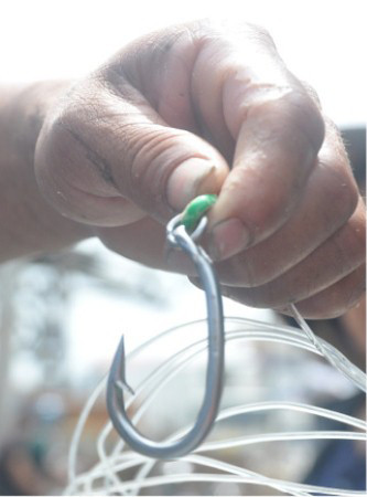 Nghề câu “cọp biển” ảnh 3