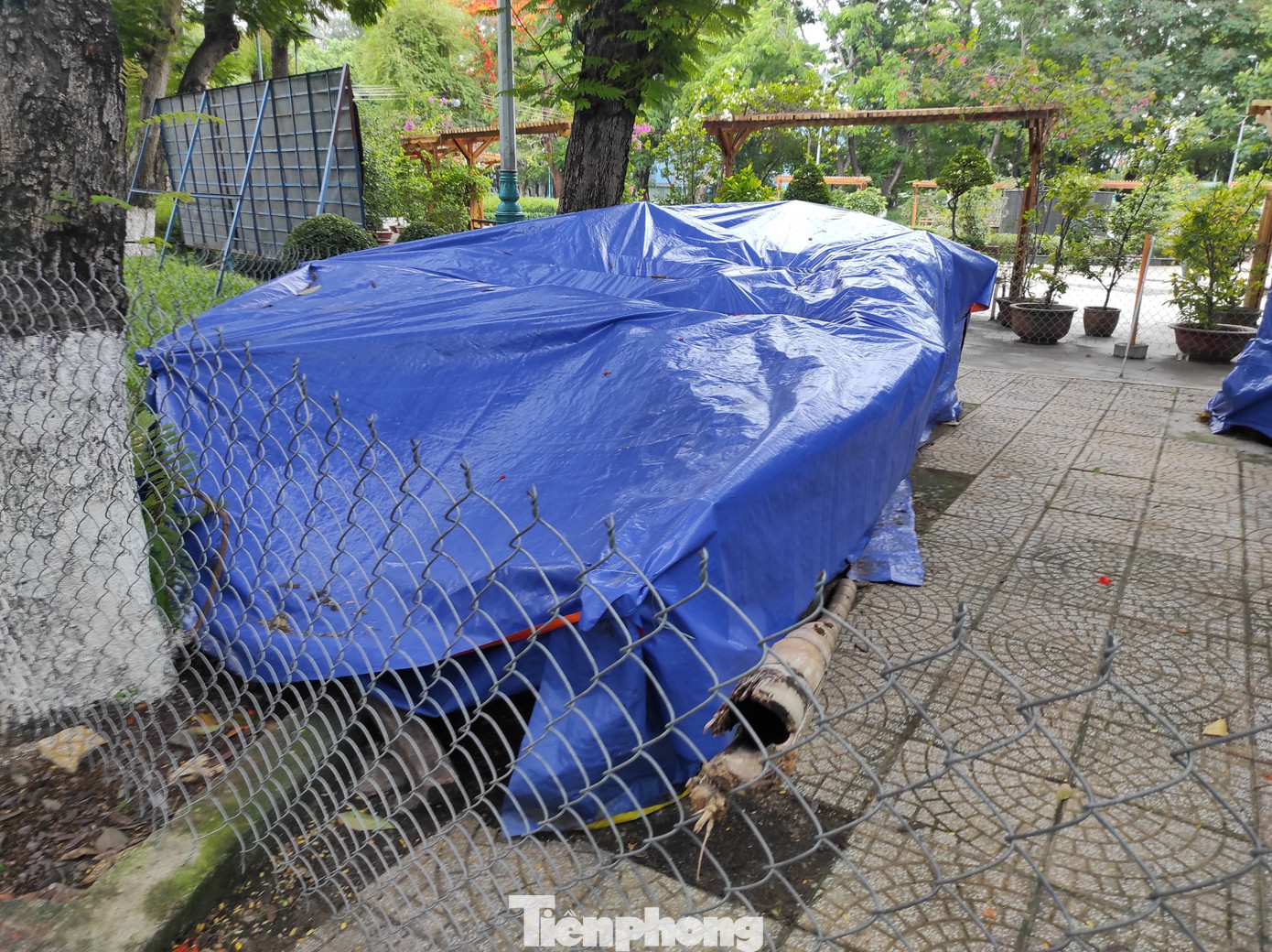 Hiện tại các bức tượng đã được tăng cường bạt che, bên cạnh đó, khu vực đặt tượng đã được dọn dẹp vệ sinh sạch sẽ.