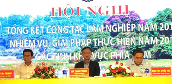Tái xuất hiện những “điểm nóng” phá rừng ở các tỉnh phía Nam ảnh 1