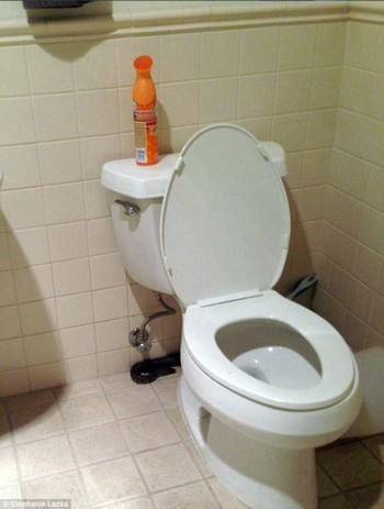 Kinh hãi phát hiện trăn dài 1,7m chui lên từ bồn cầu ảnh 1