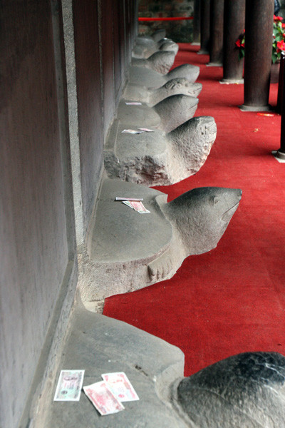 Thả tiền lên đầu rùa