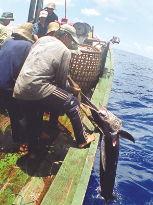 Với việc kích hoạt hệ thống quan sát tàu cá qua vệ tinh, ngư dân ra khơi sẽ yên tâm hơn. Ảnh: Hồng Vĩnh