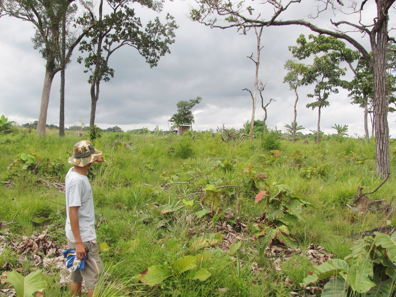 Đất do Ban QLRPH Ia Puch được UBND huyện Chư Prông cấp cho ông Nguyễn Văn Ngọc
