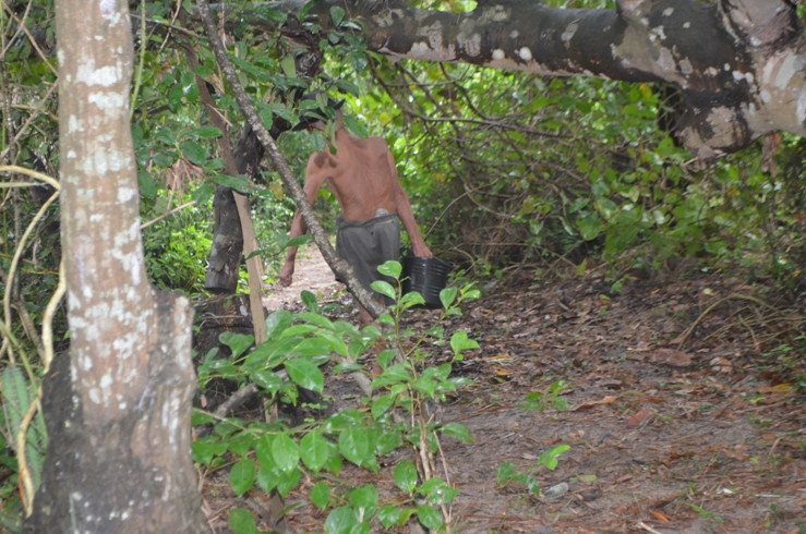 Con đường dẫn vào nhà ông Lê Để bị chắn ngang bởi cây cối