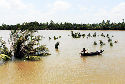 Cả nghìn m2 đất bị nước cuốn trôi, 11 người thoát chết ảnh 2